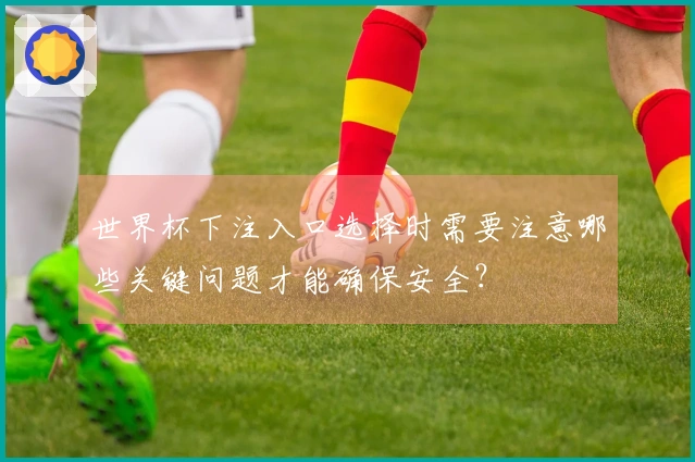 世界杯下注入口选择时需要注意哪些关键问题才能确保安全？