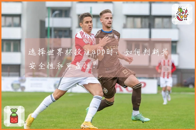 选择世界杯投注app时，如何判断其安全性和可靠性？