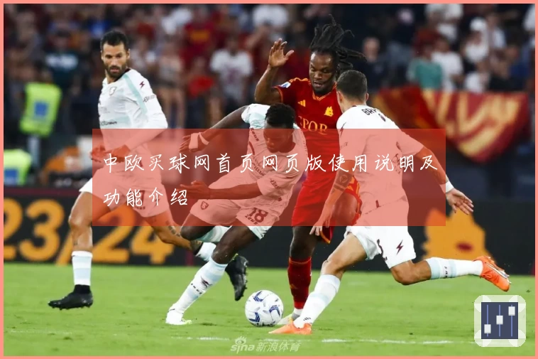 中欧买球网首页网页版使用说明及功能介绍