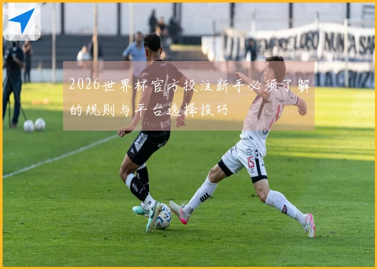 2026世界杯官方投注新手必须了解的规则与平台选择技巧