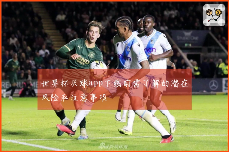 世界杯买球app下载前需了解的潜在风险和注意事项