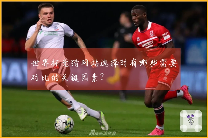 世界杯竞猜网站选择时有哪些需要对比的关键因素？