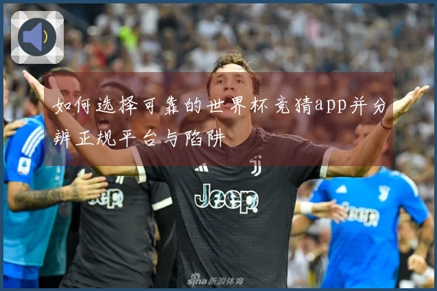 如何选择可靠的世界杯竞猜app并分辨正规平台与陷阱