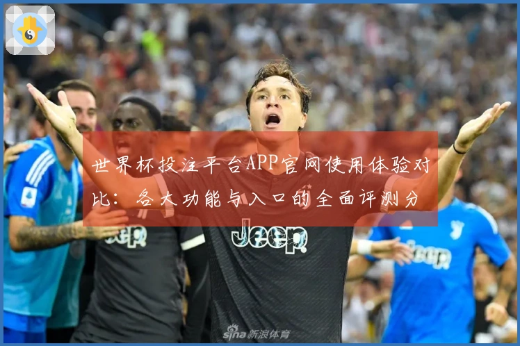 世界杯投注平台APP官网使用体验对比：各大功能与入口的全面评测分析