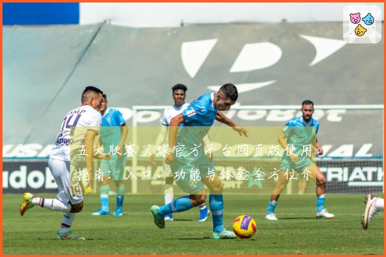 五大联赛买球官方平台网页版使用指南:入口、功能与体验全方位介绍