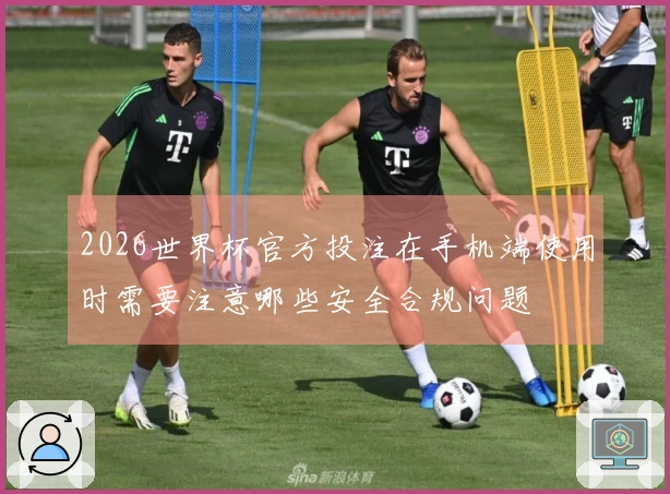 2026世界杯官方投注在手机端使用时需要注意哪些安全合规问题