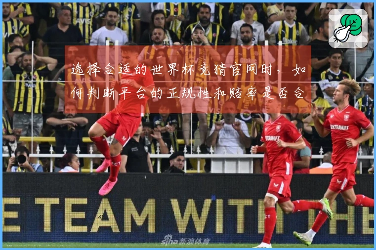 选择合适的世界杯竞猜官网时，如何判断平台的正规性和赔率是否合理？