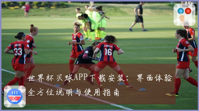 世界杯买球APP下载安装：界面体验全方位说明与使用指南