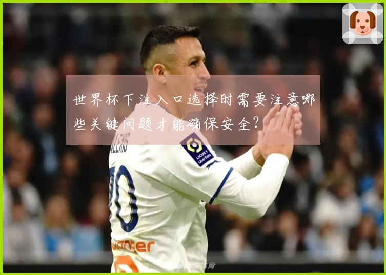 世界杯下注入口选择时需要注意哪些关键问题才能确保安全？