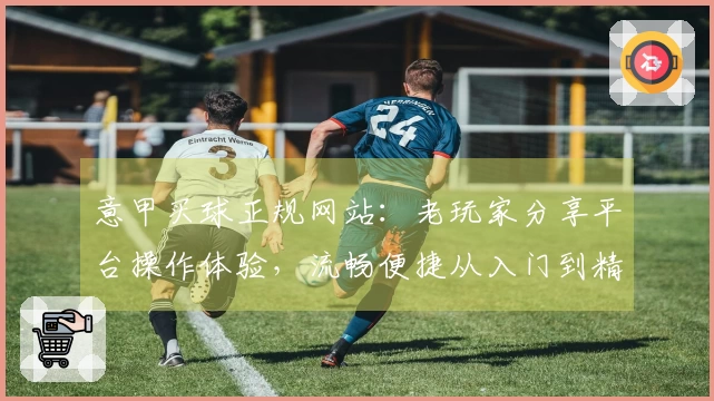 意甲买球正规网站：老玩家分享平台操作体验，流畅便捷从入门到精通