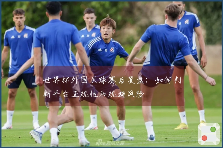 世界杯外围买球赛后复盘:如何判断平台正规性和规避风险