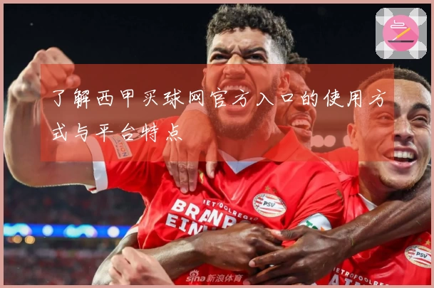 了解西甲买球网官方入口的使用方式与平台特点