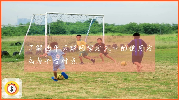 了解西甲买球网官方入口的使用方式与平台特点